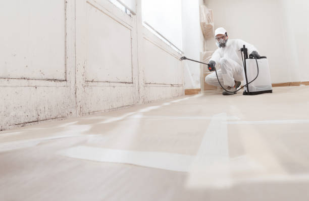 24/7 Emergency Attic Mold Remediation experts in Newtonville, MA